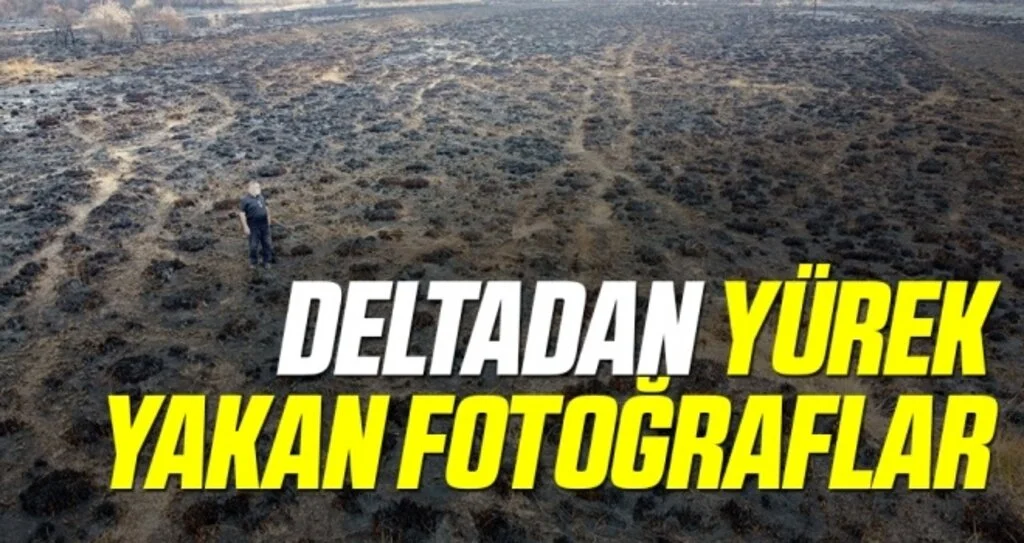 Deltadan yürek yakan fotoğraflar 