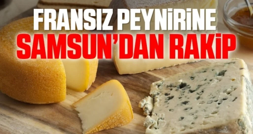 Fransız peynirine Samsun'dan Rakip
