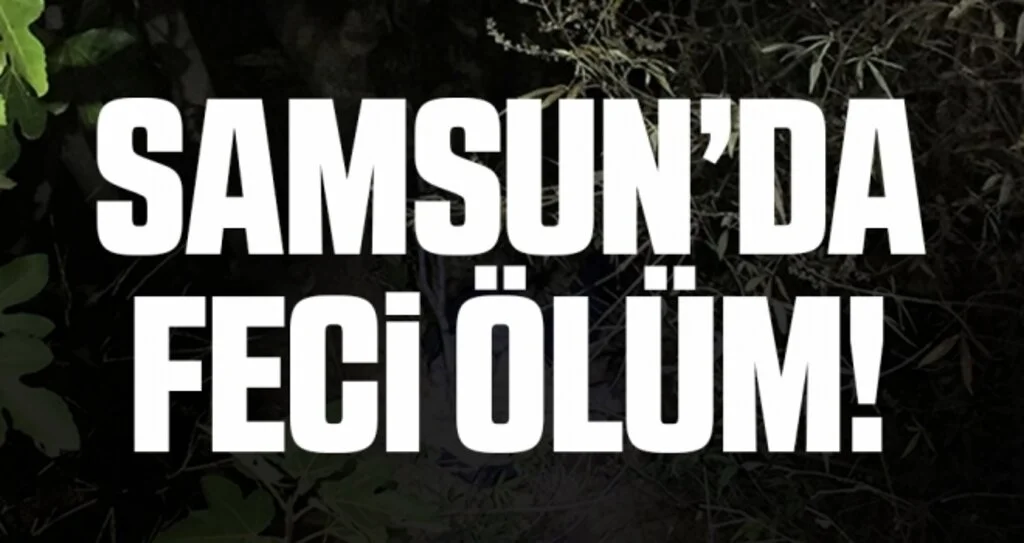 İncir ağacından düşen yaşlı adam hayatını kaybetti