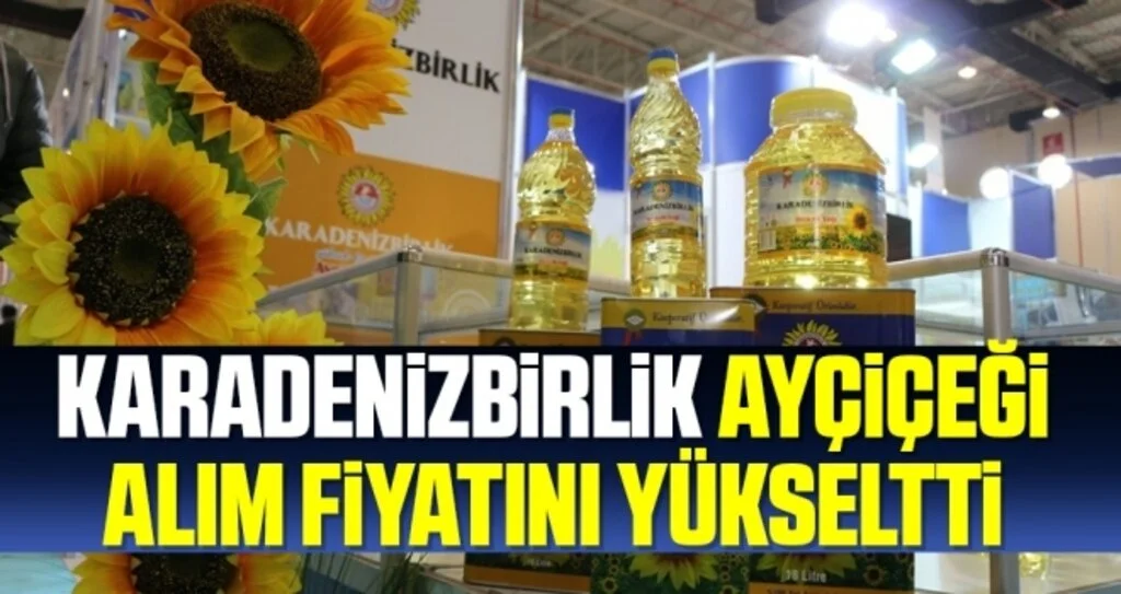KARADENİZBİRLİK ayçiçeği alım fiyatını yükseltti