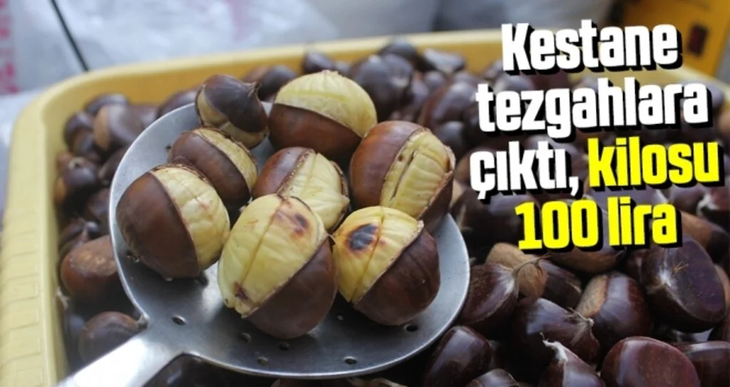 Kestane tezgahlara çıktı, kilosu 100 lira