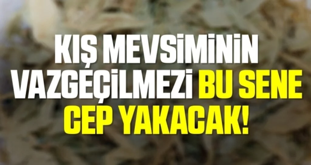 Kış Mevsiminin Vazgeçilmezi Bu Sene Cep Yakacak!