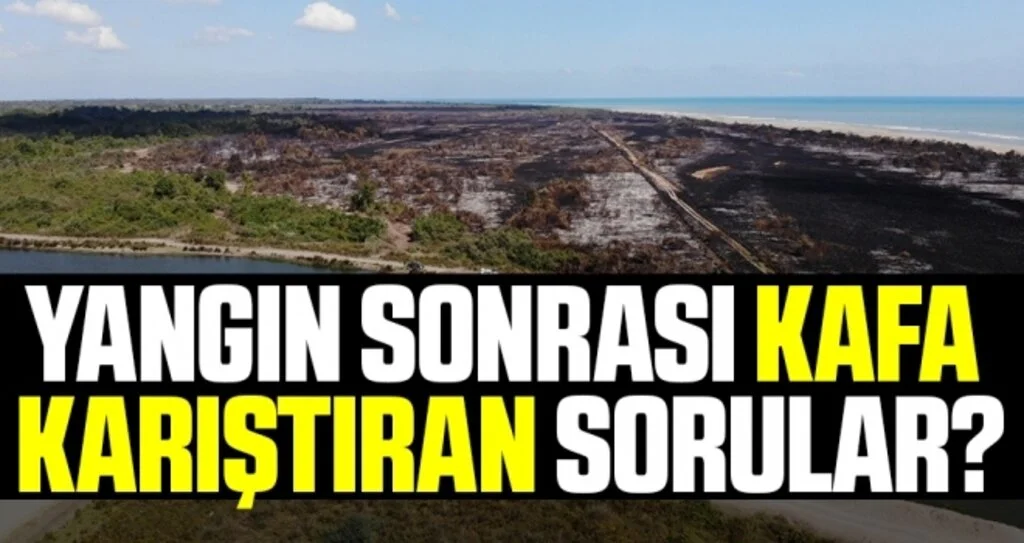 Kuş Cennetindeki Yangın Sonrası Kafa Karıştıran Sorular?
