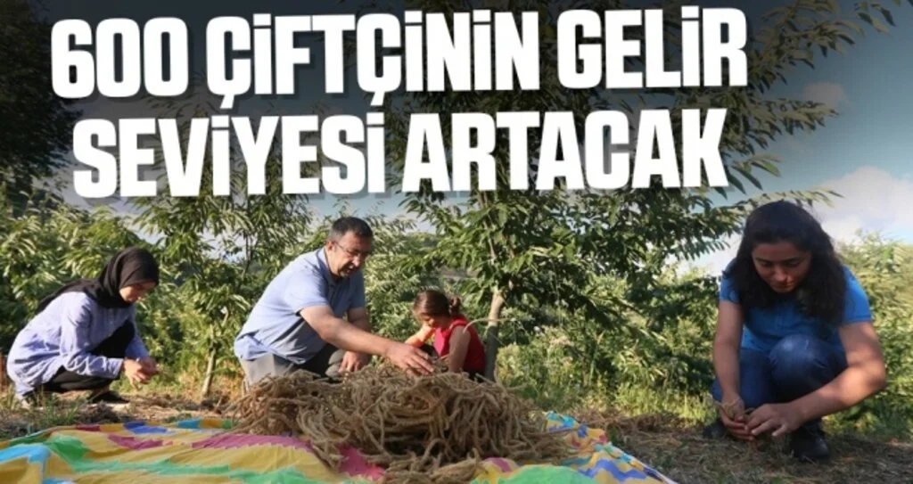 Prof. Dr. Ümit Serdar: 600 Çiftçinin Gelir Seviyesi Artacak