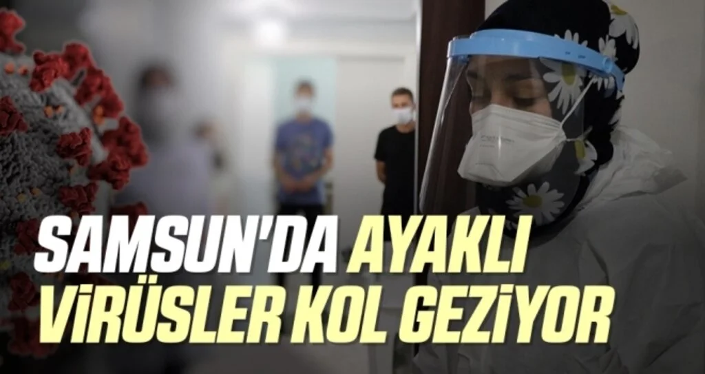 Samsun'da Ayaklı Virüsler Kol Geziyor