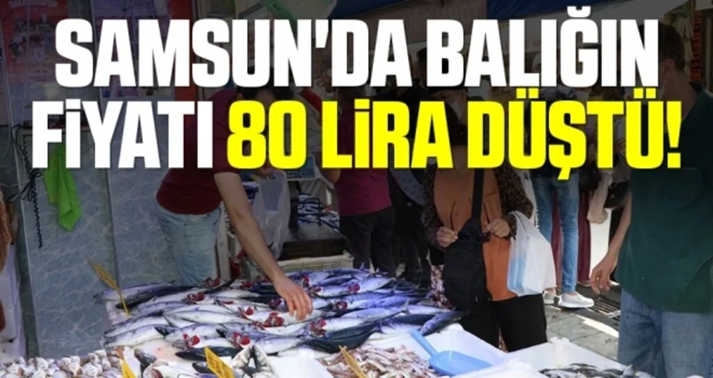 Samsun'da Balığın Fiyatı 80 Lira Düştü!