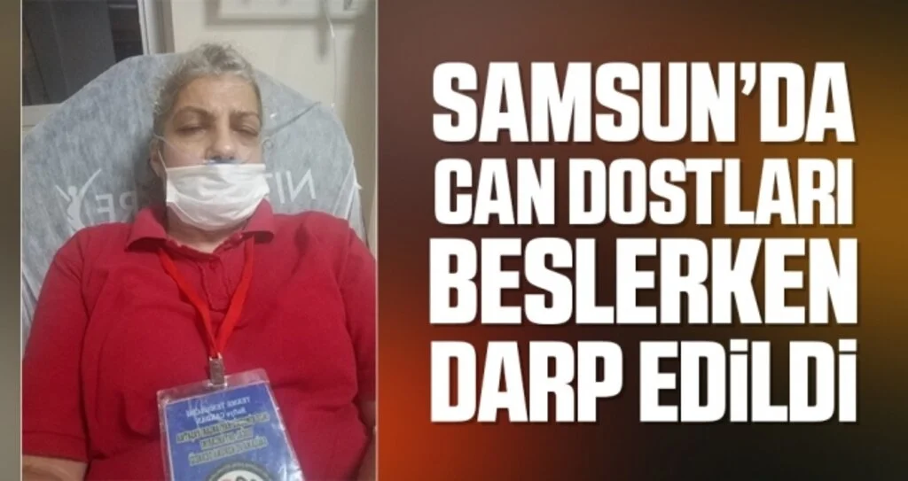 Samsun'da Can Dostları Beslerken Darp Edildi