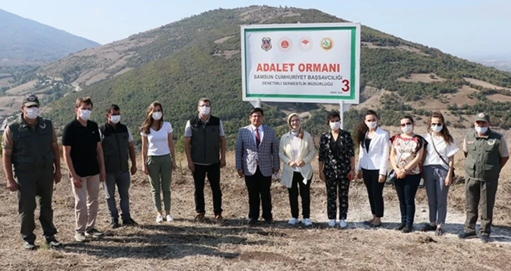 Samsun'da hükümlüler 465 bin metrekarelik alana fidan dikti