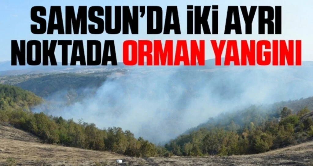 Samsun'da İki ayrı noktada orman yangını