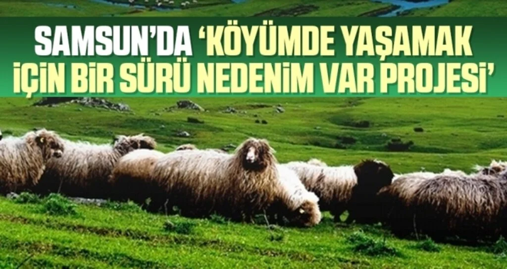 Samsun’da 'Köyümde Yaşamak İçin Bir Sürü Nedenim Var Projesi'
