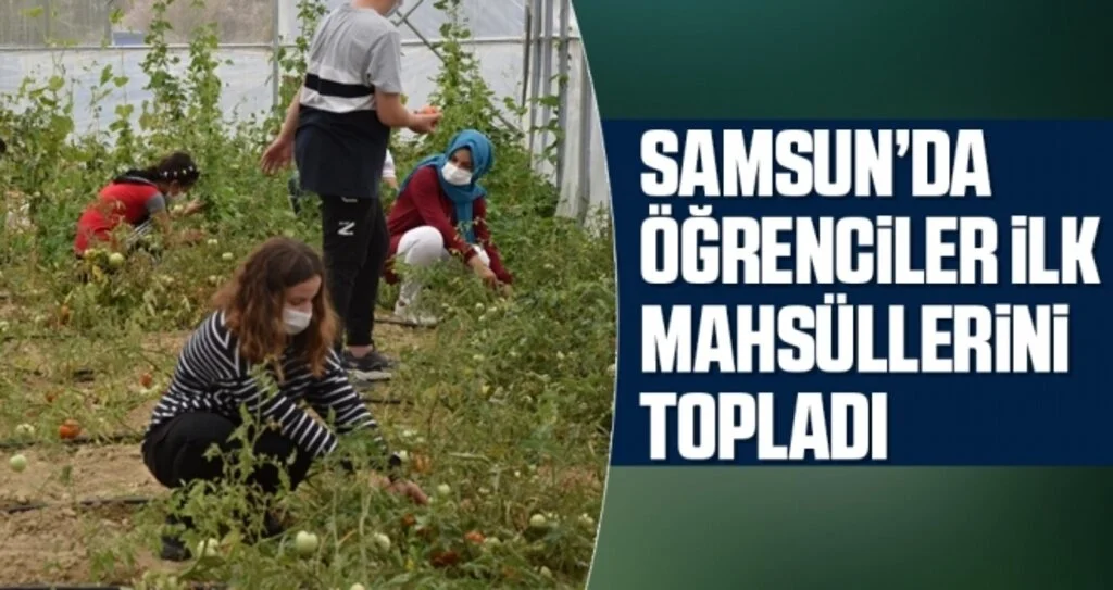 Samsun'da öğrenciler için okulun yanına sera kuruldu 