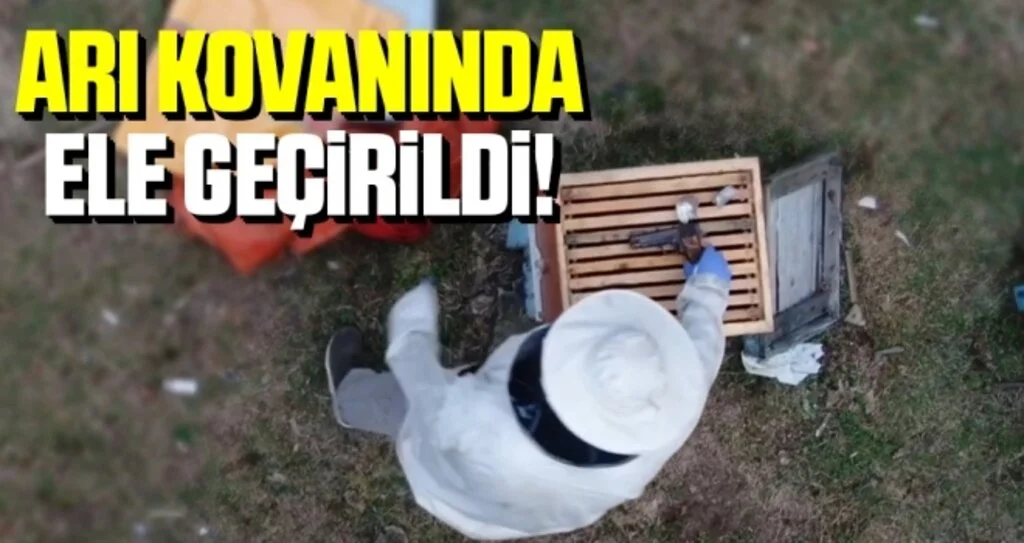 Samsun'da Polisler Arı Kovanında Buldu!