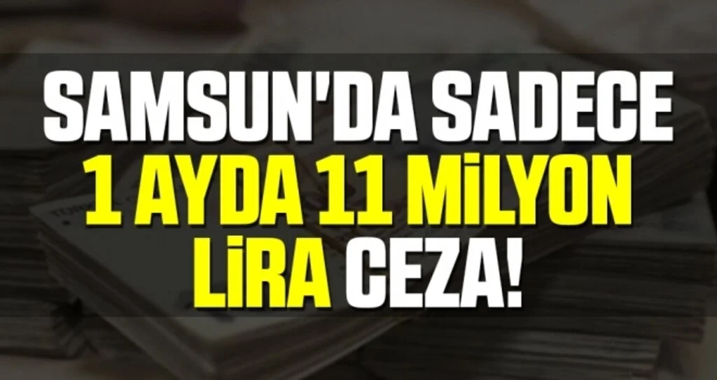 Samsun'da Sadece 1 Ayda 11 Milyon Lira Ceza!