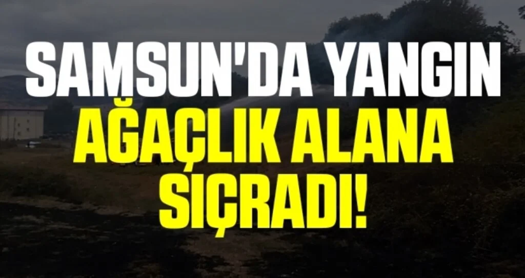 Samsun'da Yangın Ağaçlık Alana Sıçradı!