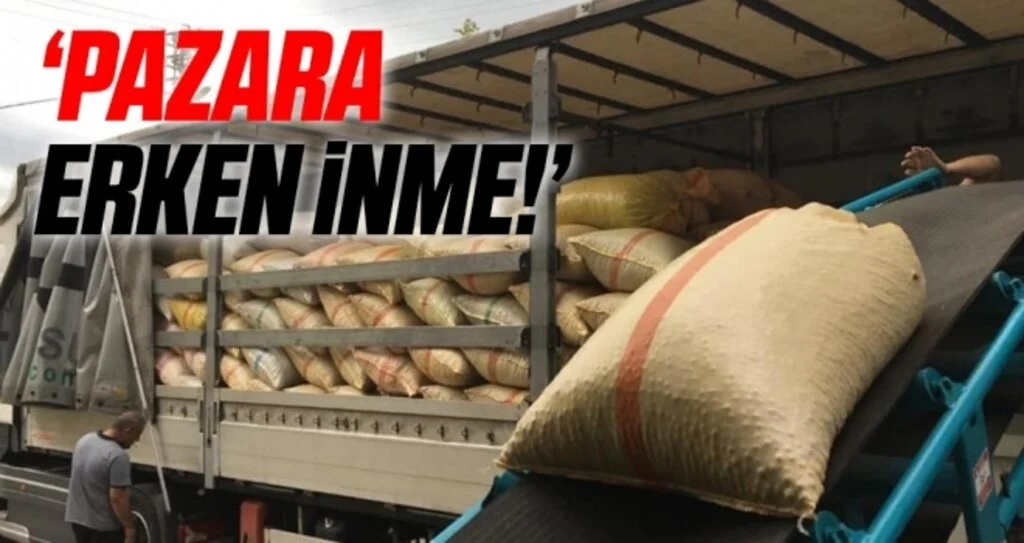 Terme Ziraat Odası Başkanı Ergün: Pazara erken inme!