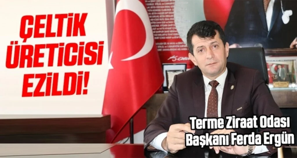Terme Ziraat Odası Başkanı Ferda Ergün: Çeltik üreticisi ezildi