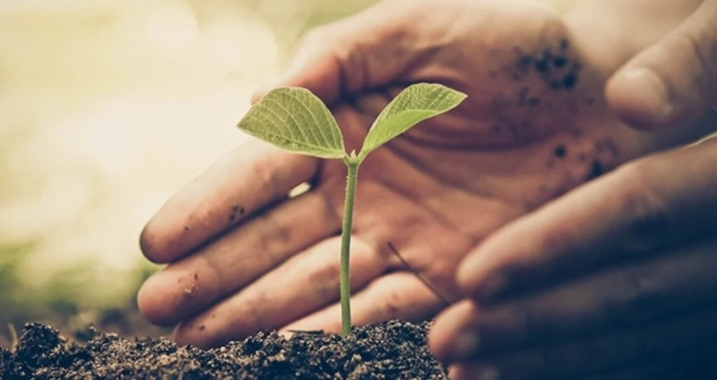 Yemeksepeti Plastik Kullanımını Azaltıyor