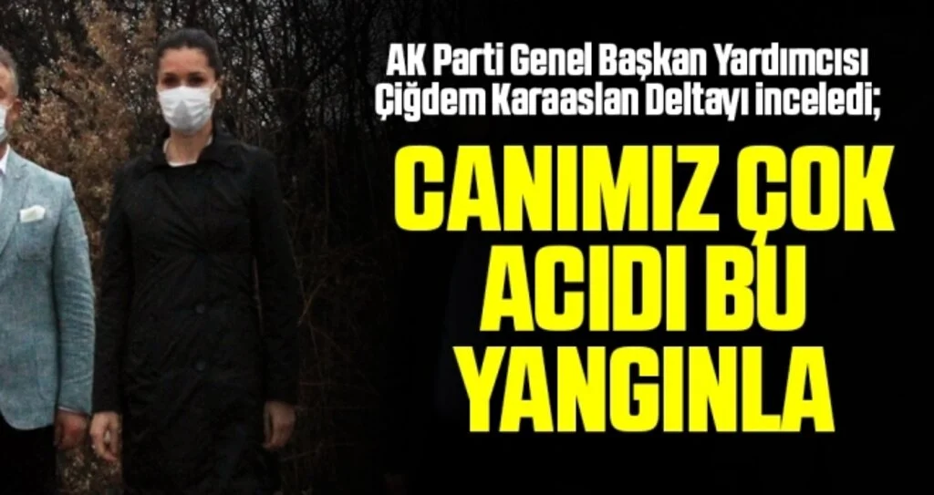 Yetkililer Kızılırmak Deltası Kuş Cenneti'ndeki yangın çıkan bölgede incelemede bulundu