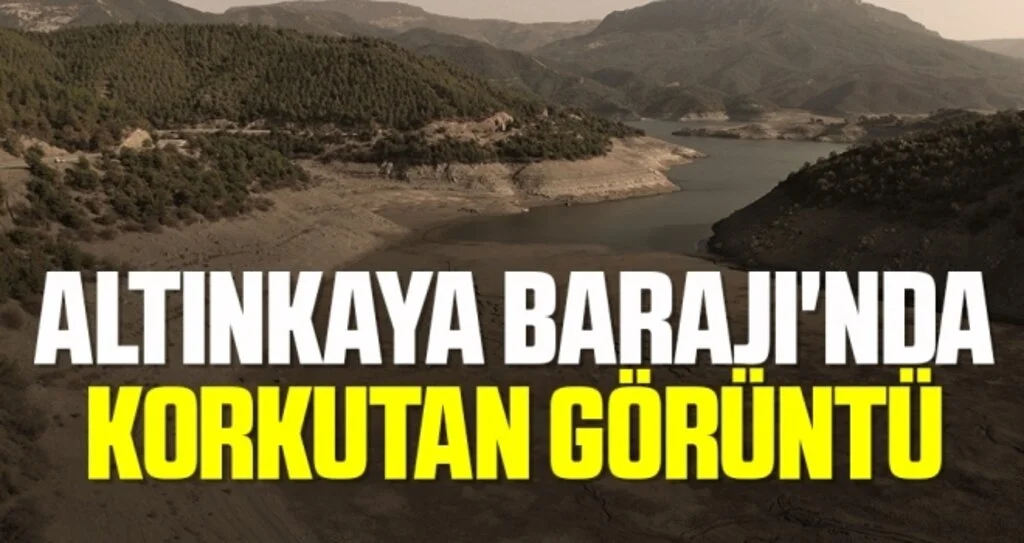 Altınkaya Barajı'nda korkutan görüntü