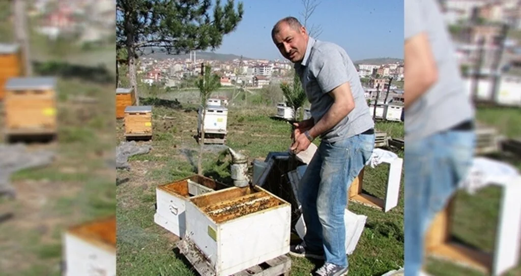 Arı kovanı sahiplerine 'sohbahar' uyarısı