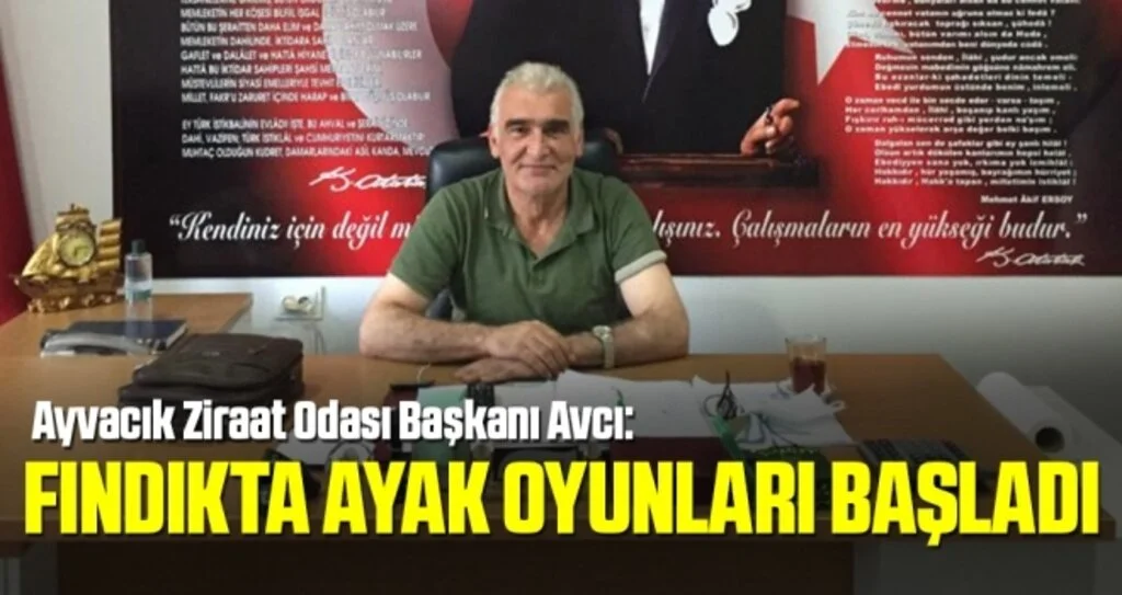 Ayvacık Ziraat Odası Başkanı Avcı: Fındıkta ayak oyunları başladı