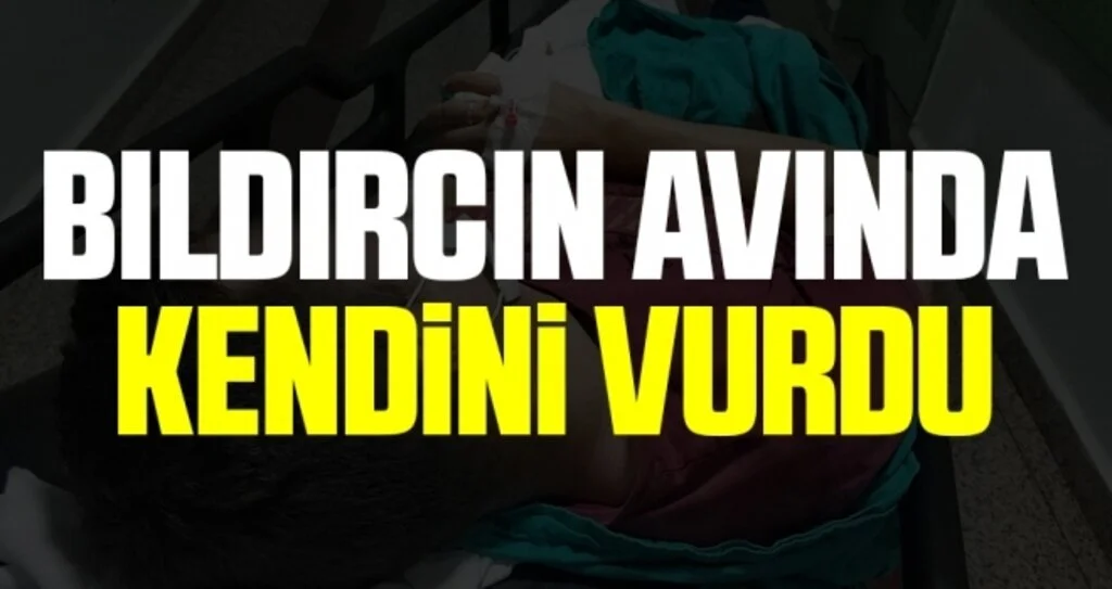 Bıldırcın avında kazara kendini vurdu