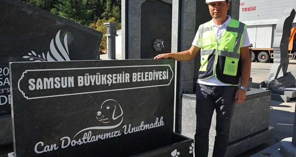 Can dostlar için doğal mama ve su kabı