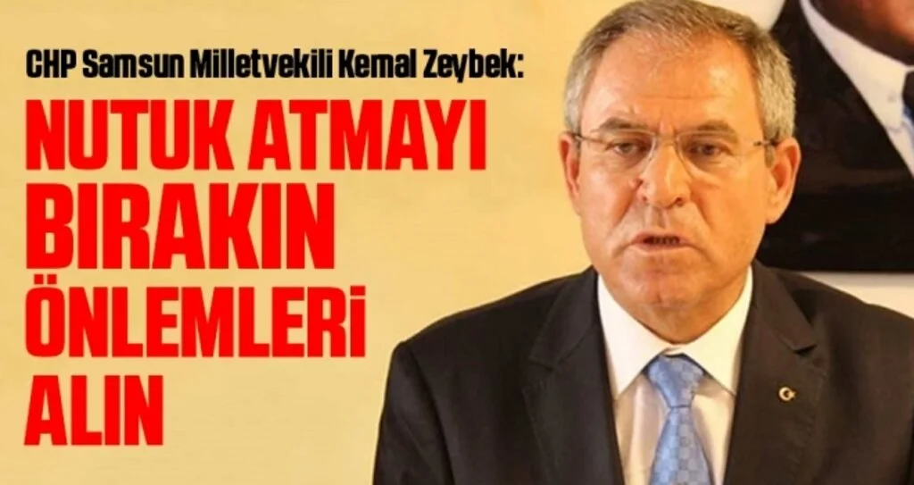 CHP Samsun Milletvekili Zeybek: Nutuk Atmayı Bırakın Önlemleri Alın