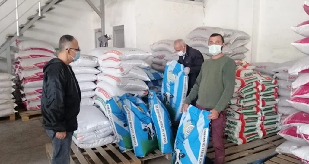 Çiftçilere yem bitkisi tohumu dağıldı   