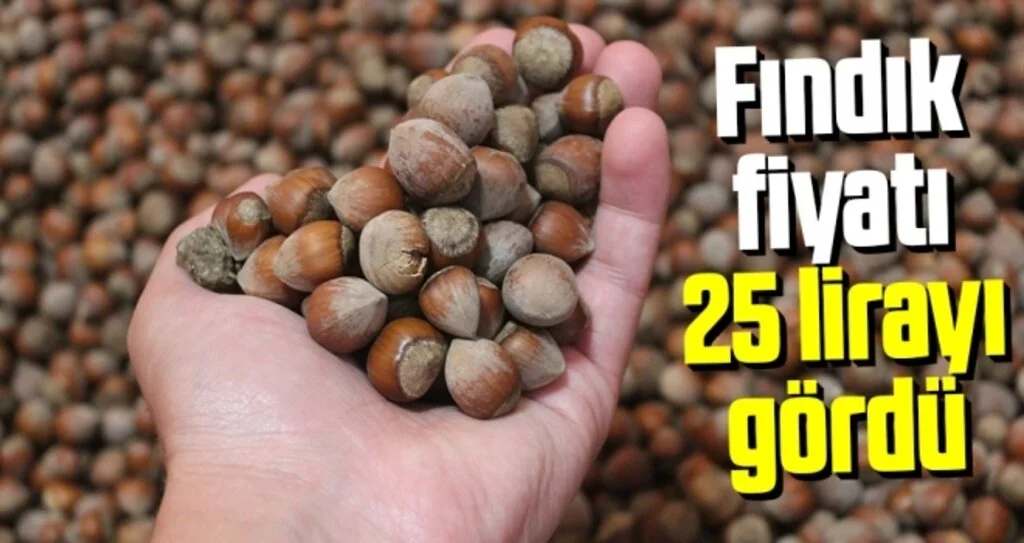 Fındık fiyatı 25 lirayı gördü