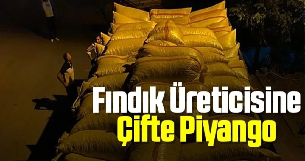 Fındık Üreticisine Çifte Piyango