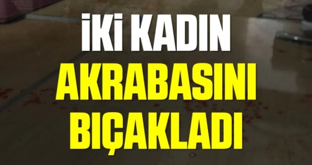 İki Kadın Akrabasını Bıçakladı