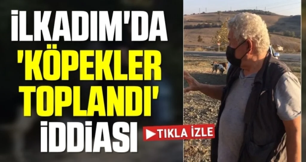 İlkadım'da 'köpekler toplandı' iddiası 