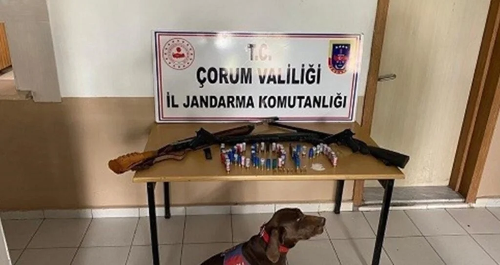 Jandarma’dan silah operasyonu