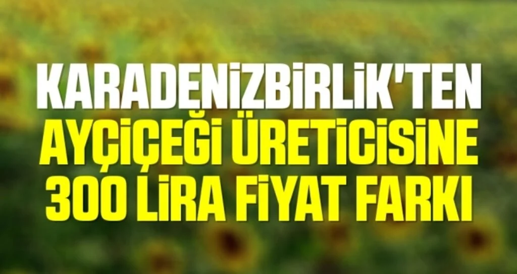 KARADENİZBİRLİK'ten ayçiçeği üreticisine 300 lira fiyat farkı