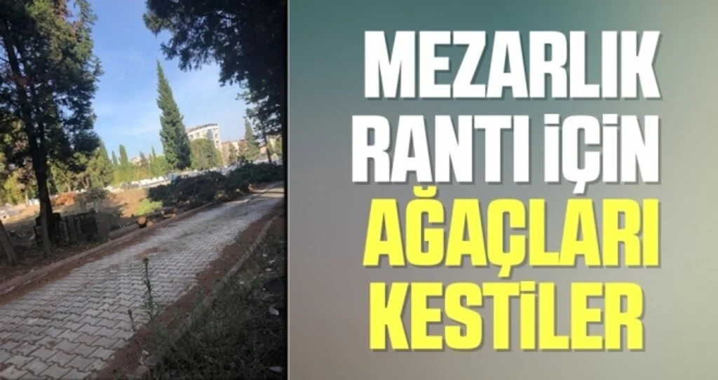 Mezarlık Rantı İçin Ağaçları Kestiler