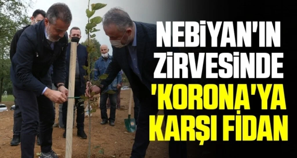 Nebiyan'ın zirvesinde 'Korona'ya karşı fidan