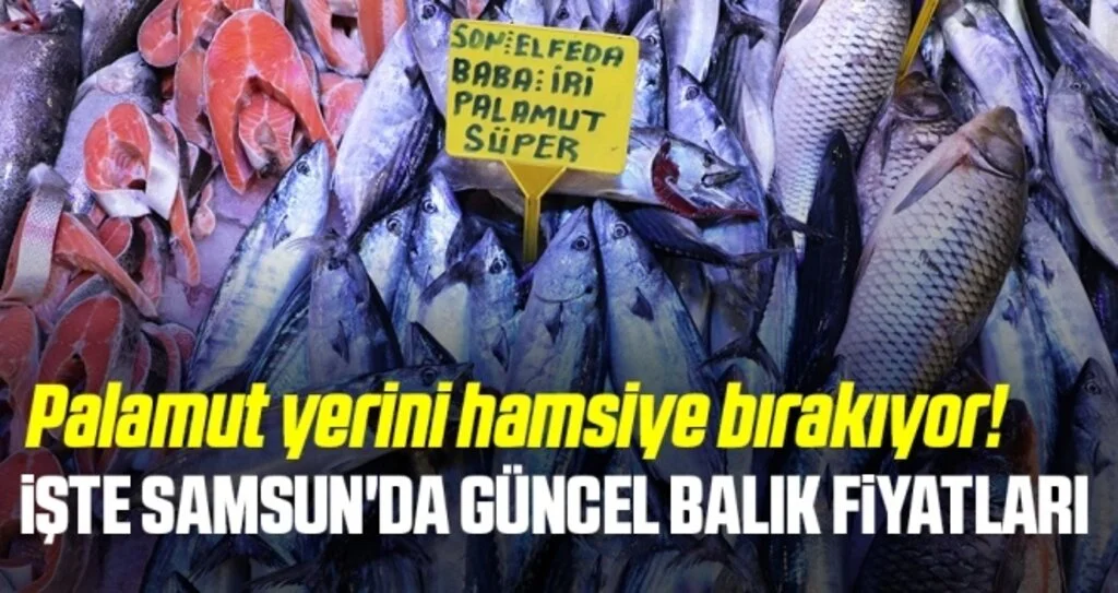 Palamut yerini hamsiye bırakıyor! İşte Samsun'da Güncel Balık Fiyatları