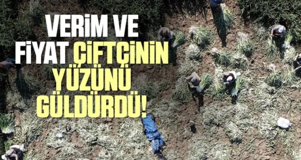 Pırasa verimi ve fiyatı ile çiftçinin yüzünü güldürdü