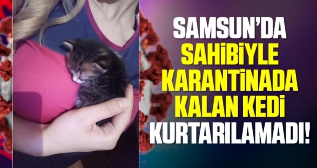 Sahibiyle karantinada kalan kedi kurtarılamadı