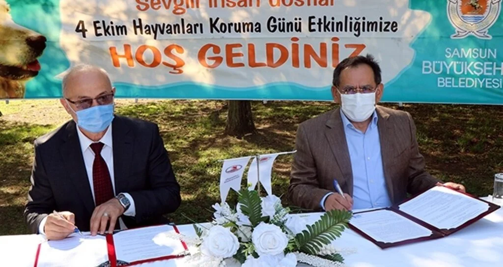 Samsun Büyükşehir ile OMÜ arasında 'sokak hayvanları protokolü'