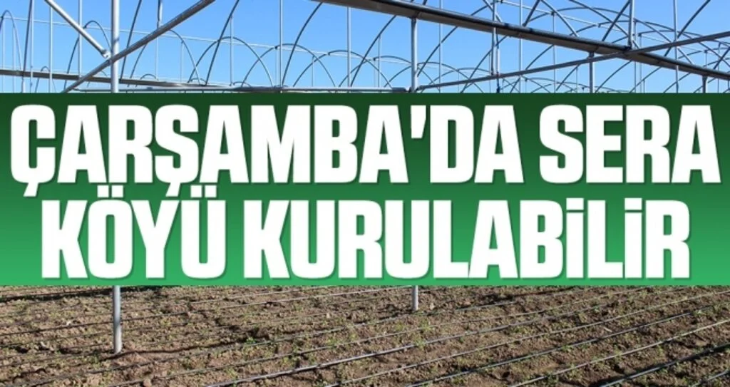 Samsun İl Tarım ve Orman Müdürü İbrahim Sağlam: Çarşamba'da sera köyü kurulabilir