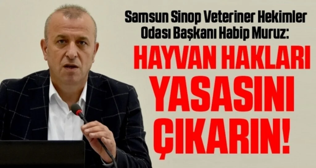 Samsun Sinop Veteriner Hekimler Odası Başkanı Habip Muruz: Hayvan hakları yasasını çıkarın