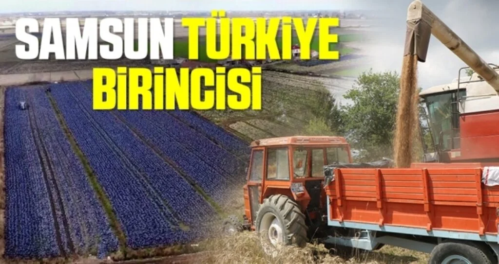 Samsun yerli ve milli tarım üretiminde Türkiye birincisi
