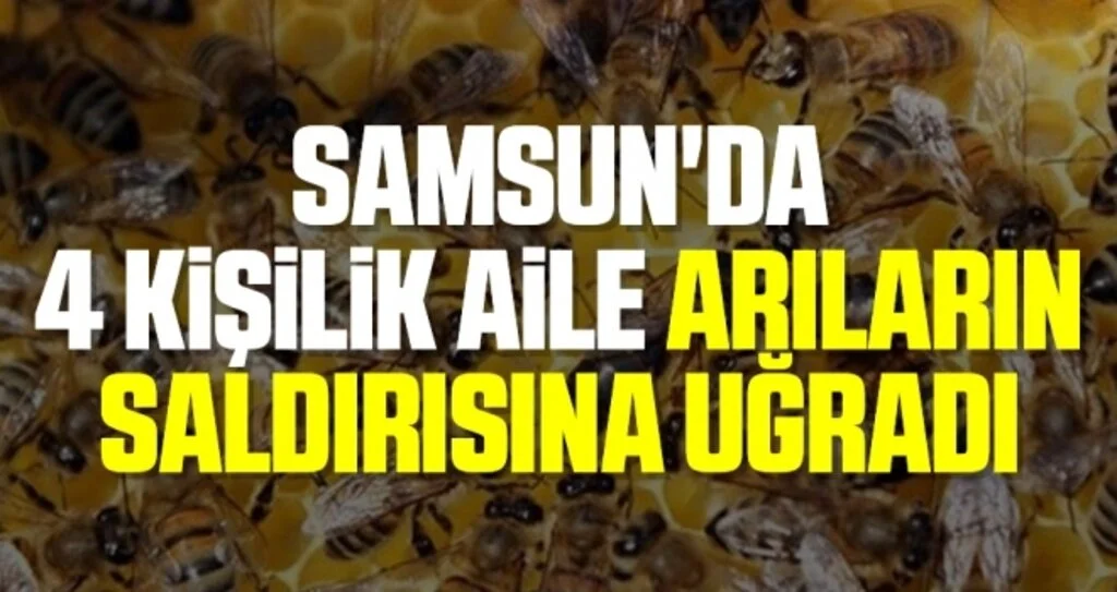 Samsun'da 4 kişilik aile arıların saldırısına uğradı