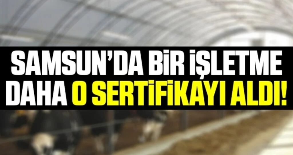 Samsun’da 'ari işletme' sayısı artıyor