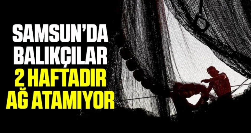 Samsun’da balıkçılar 2 haftadır ağ atamıyor