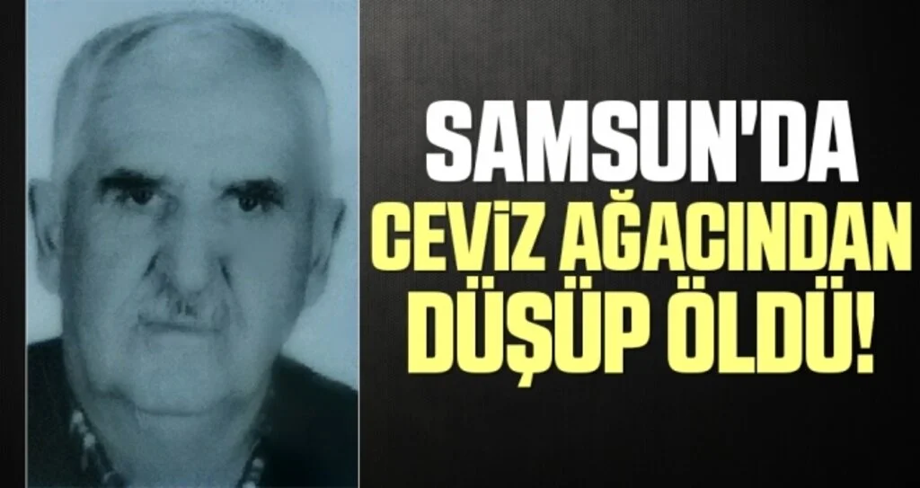 Samsun'da Ceviz Ağacından Düşüp Öldü!