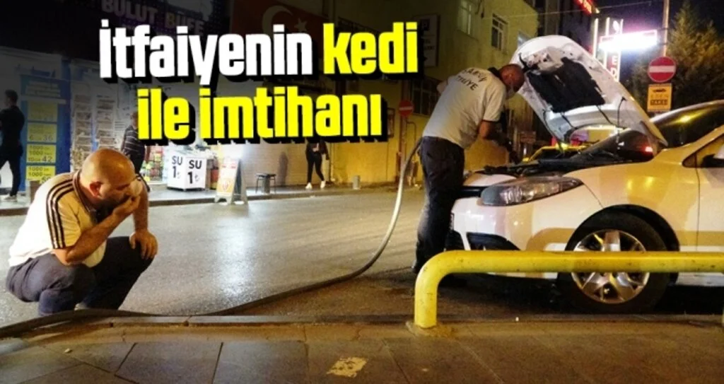 Samsun'da İtfaiyenin Kedi İle İmtihanı