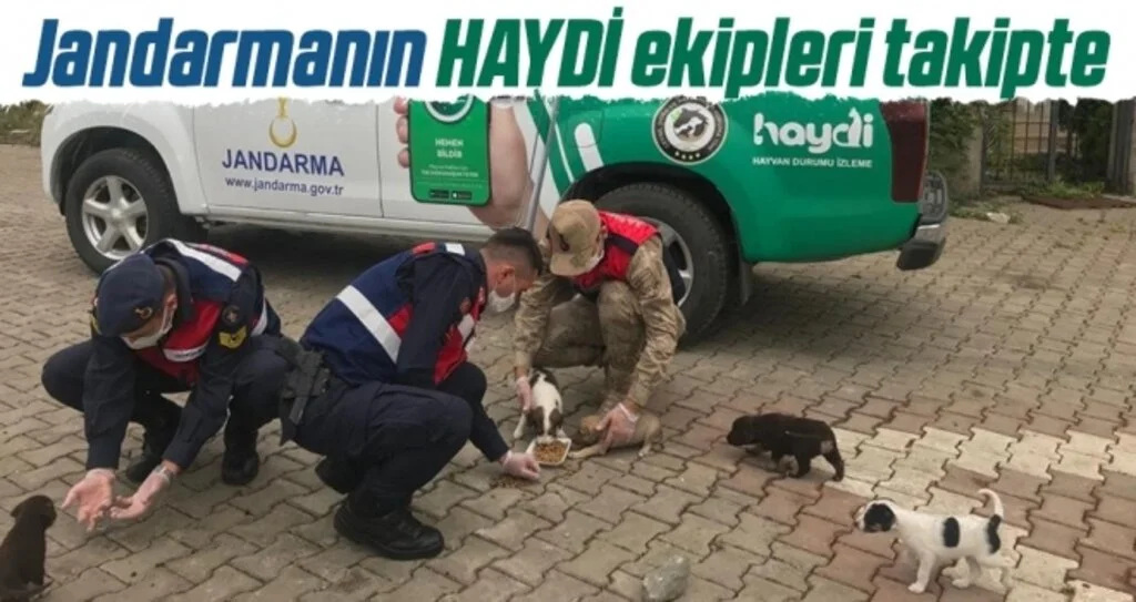 Samsun'da jandarmanın HAYDİ ekipleri takipte